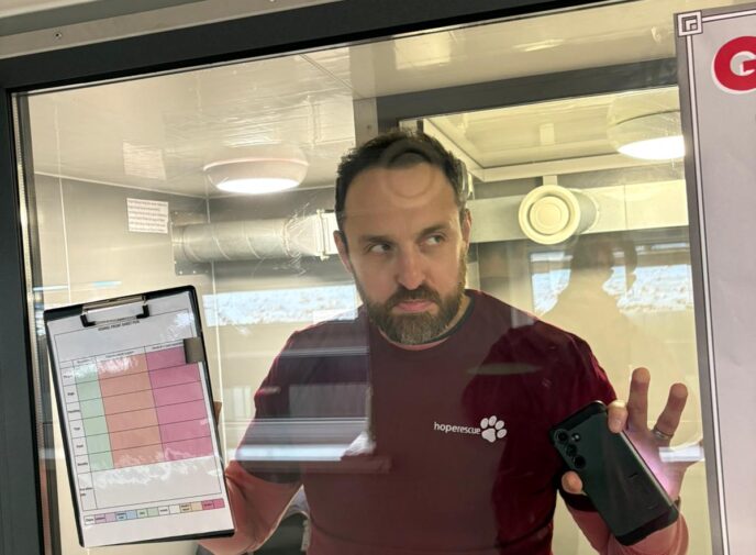 How We Supported Hope Rescue Charity This Christmas